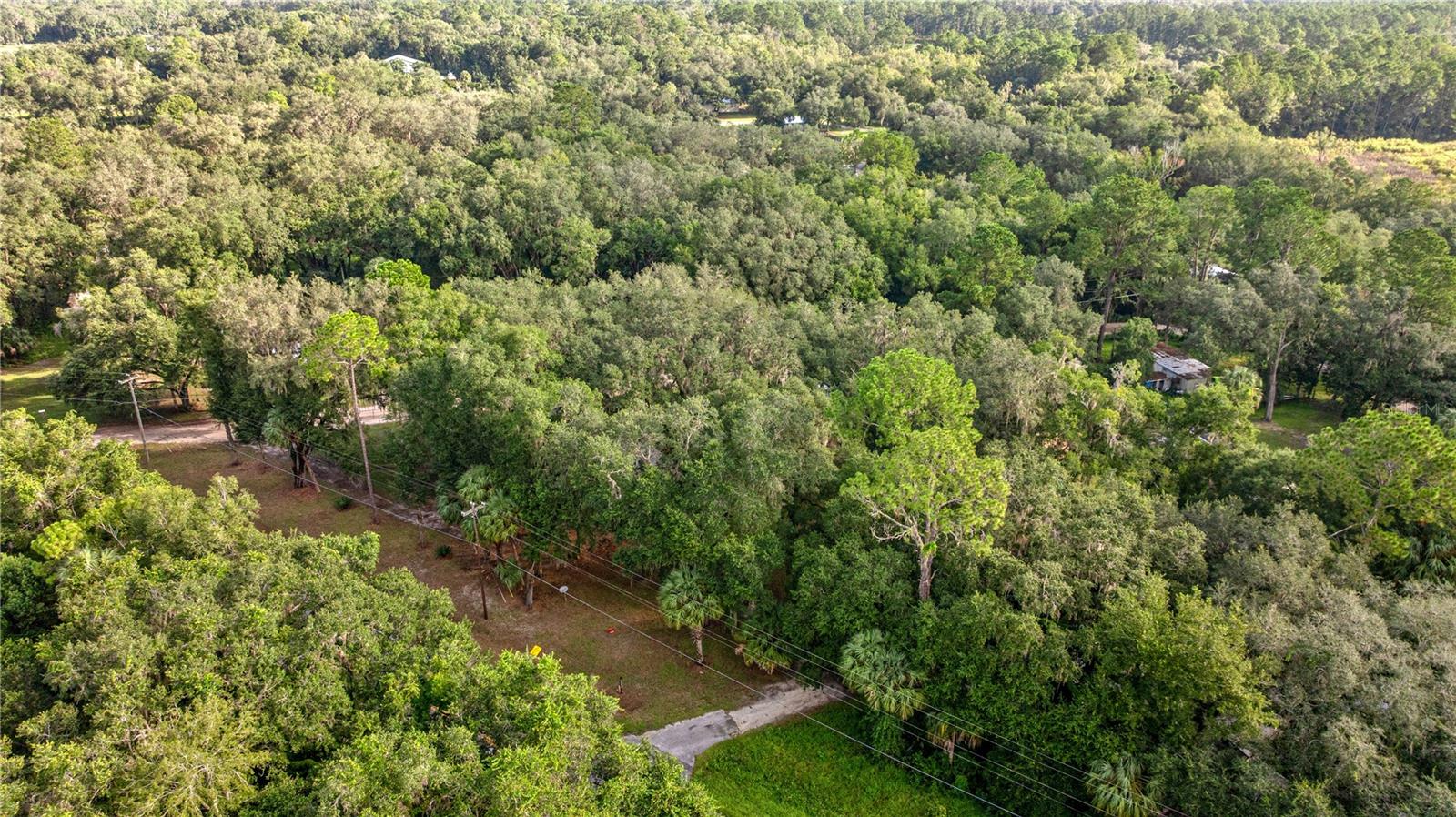 11600 NE 144TH PL, FORT MC COY, FL, 32134