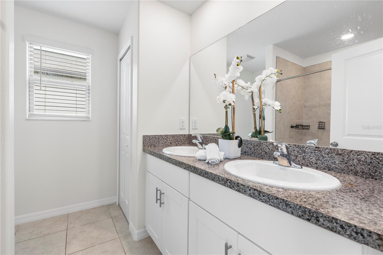 7033 SAMUEL IVY DR, TAMPA, FL, 33619