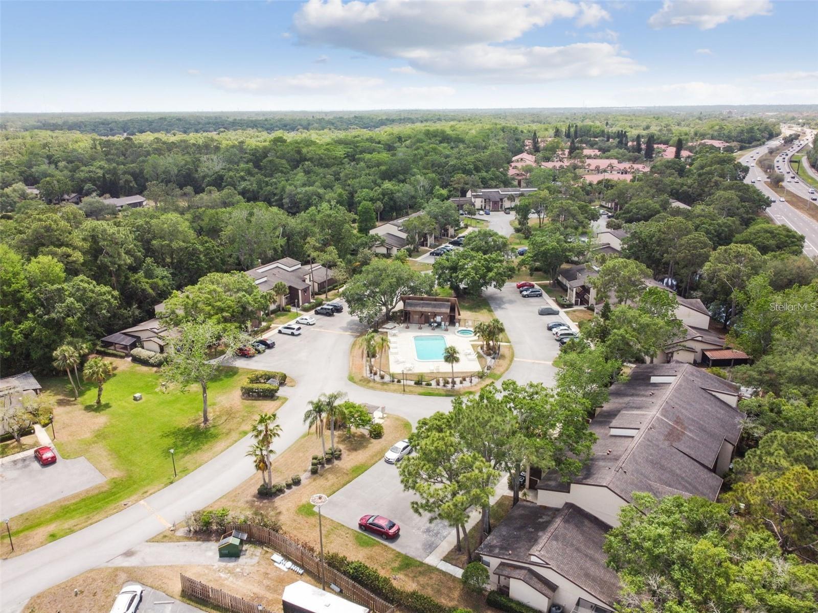 1200 TARPON WOODS BLVD #M8, PALM HARBOR, FL, 34685