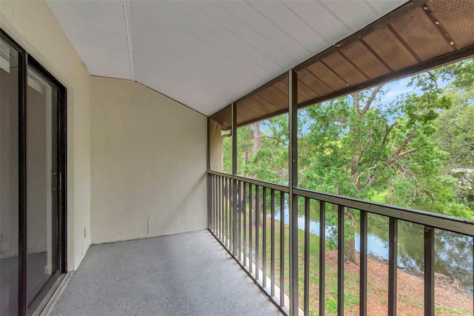 1200 TARPON WOODS BLVD #M8, PALM HARBOR, FL, 34685