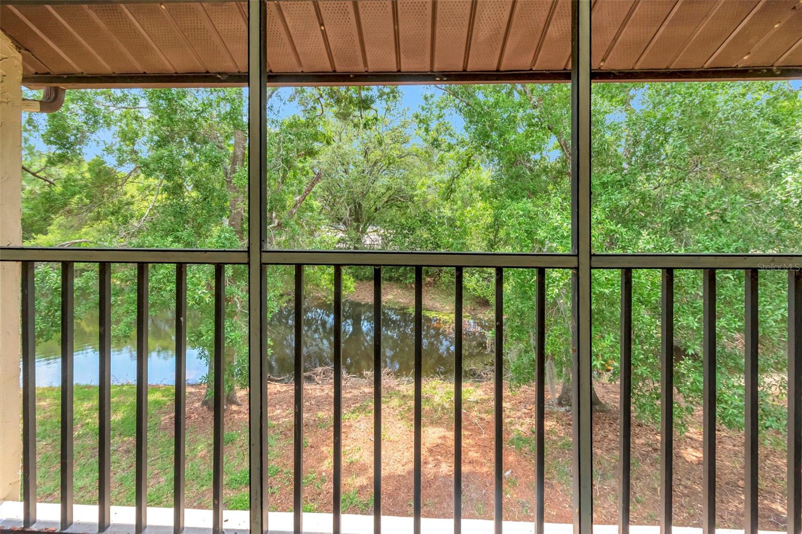 1200 TARPON WOODS BLVD #M8, PALM HARBOR, FL, 34685