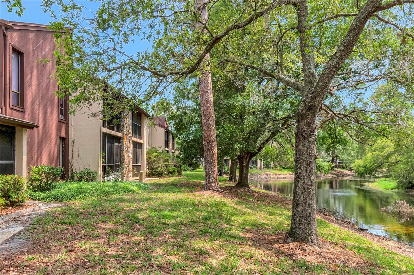 1200 TARPON WOODS BLVD #M8, PALM HARBOR, FL, 34685