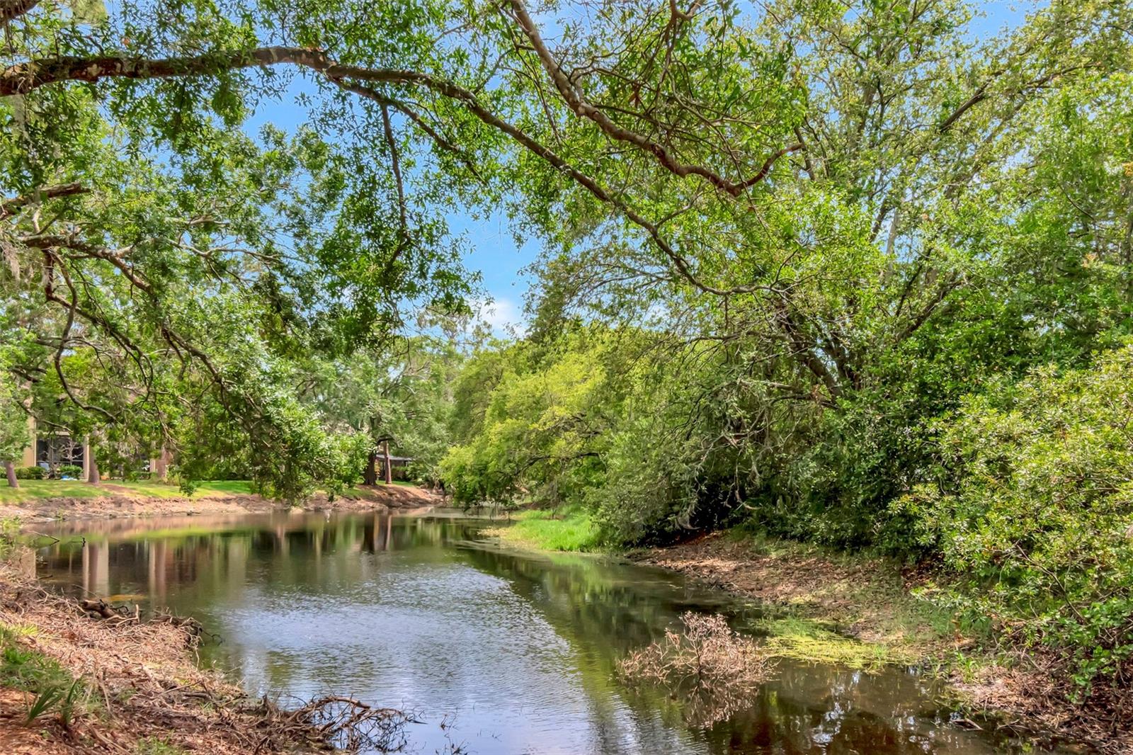 1200 TARPON WOODS BLVD #M8, PALM HARBOR, FL, 34685