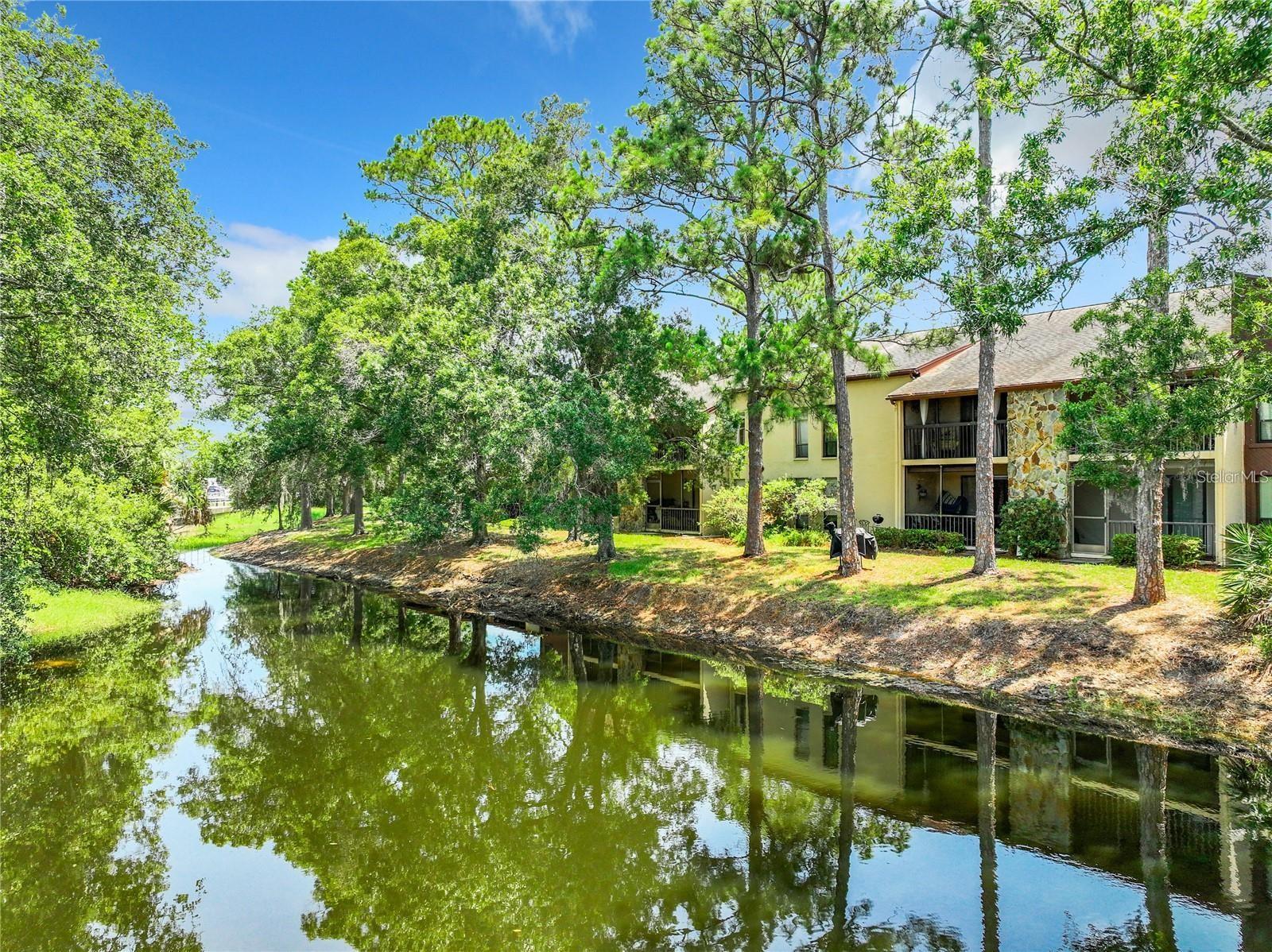 1200 TARPON WOODS BLVD #M8, PALM HARBOR, FL, 34685