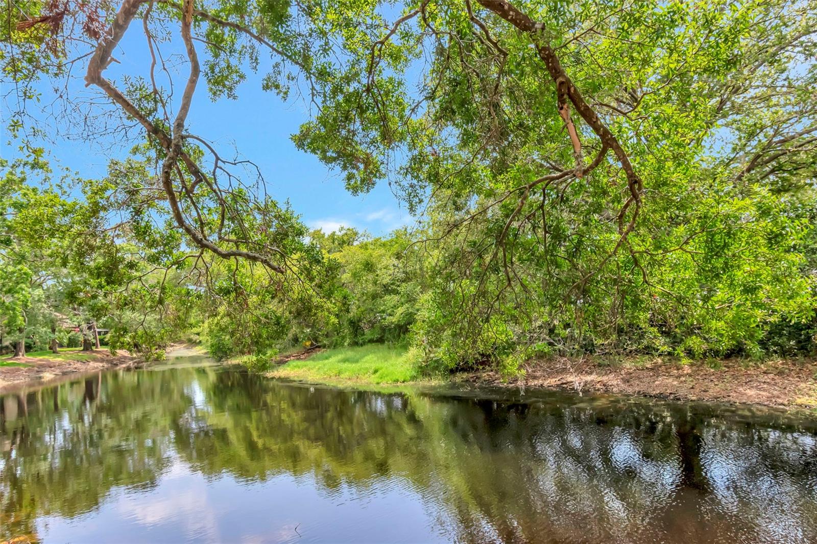 1200 TARPON WOODS BLVD #M8, PALM HARBOR, FL, 34685