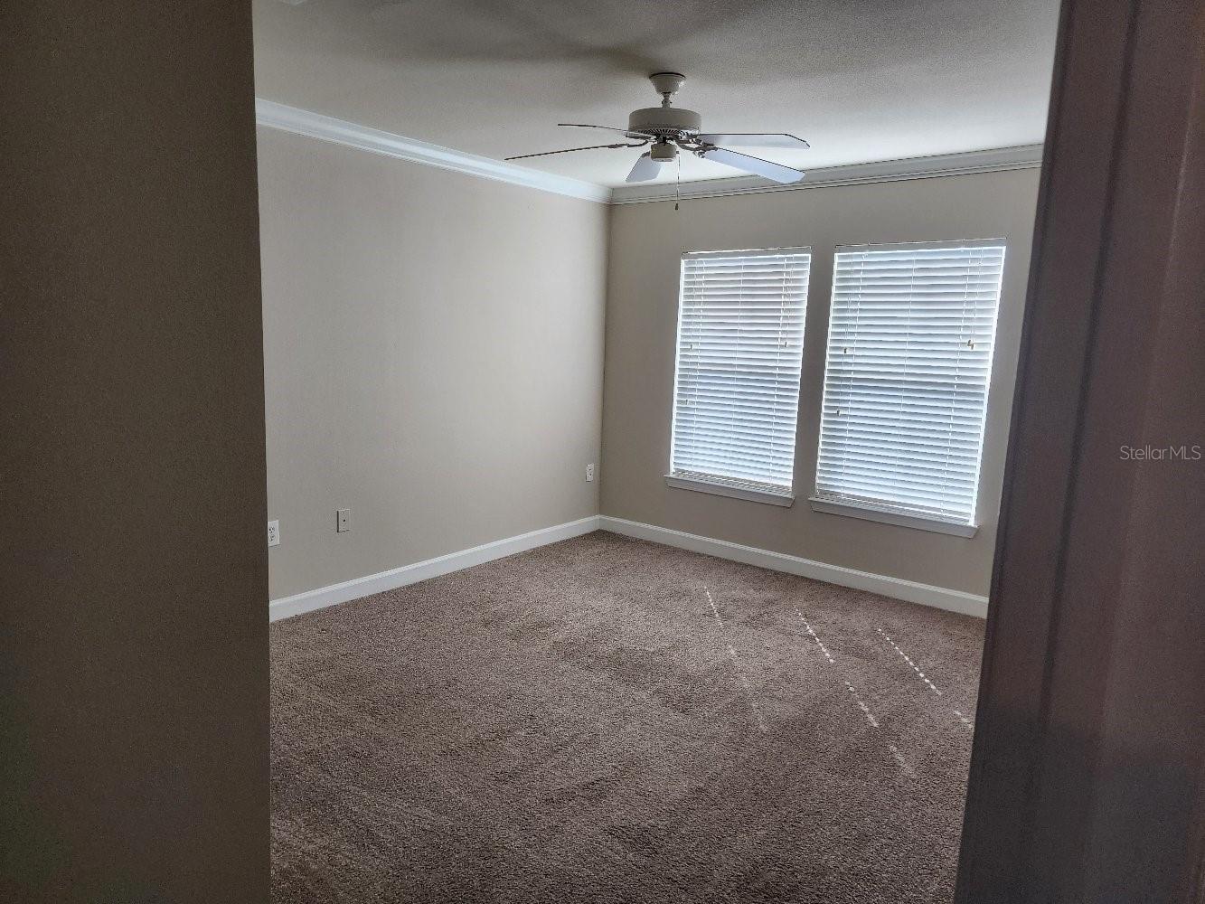 18271 BRIDLE CLUB DR #18271, TAMPA, FL, 33647