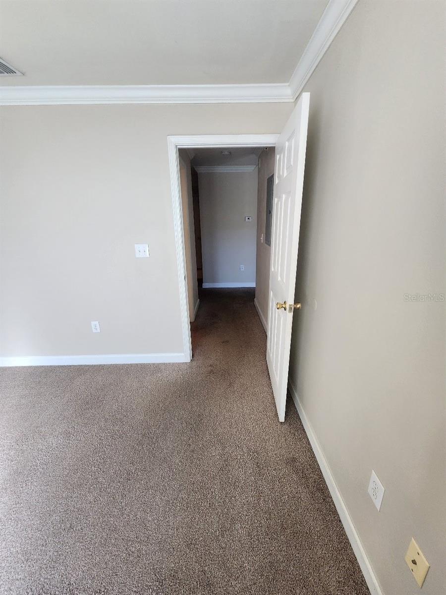 18271 BRIDLE CLUB DR #18271, TAMPA, FL, 33647