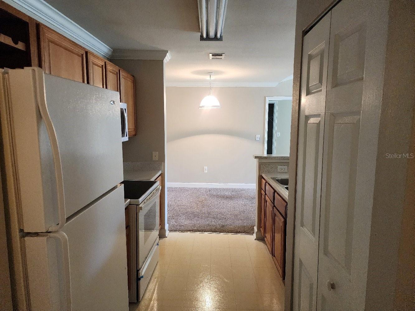 18271 BRIDLE CLUB DR #18271, TAMPA, FL, 33647