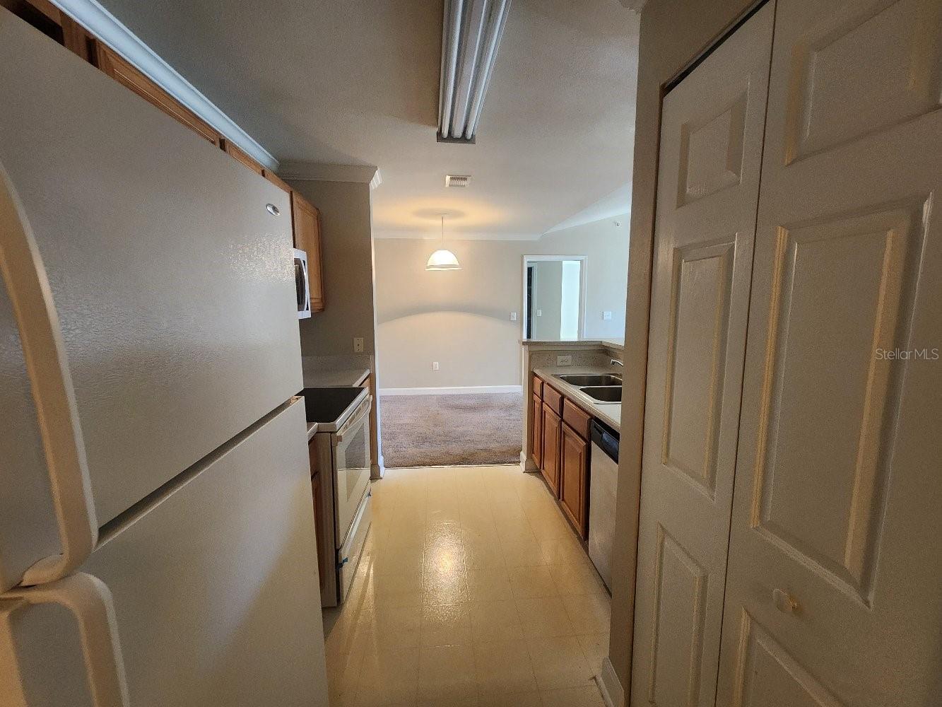 18271 BRIDLE CLUB DR #18271, TAMPA, FL, 33647