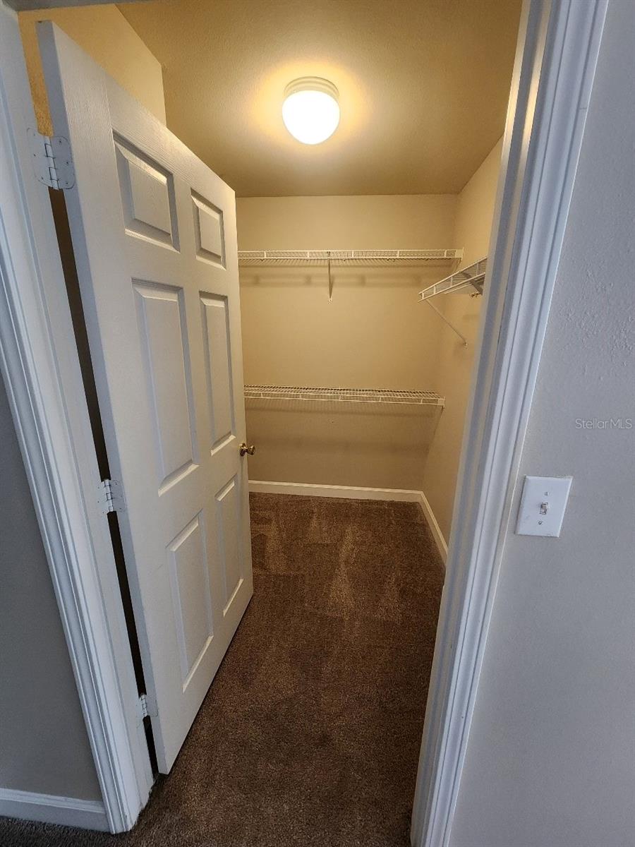 18271 BRIDLE CLUB DR #18271, TAMPA, FL, 33647