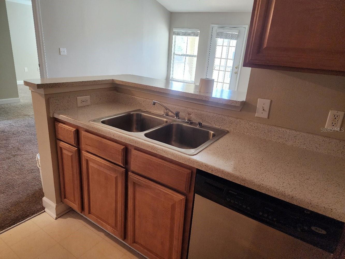 18271 BRIDLE CLUB DR #18271, TAMPA, FL, 33647