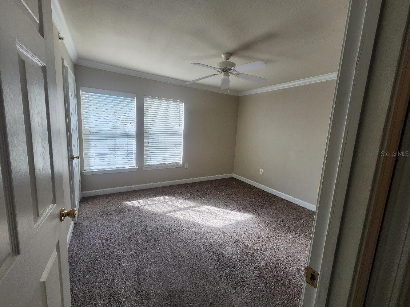 18271 BRIDLE CLUB DR #18271, TAMPA, FL, 33647