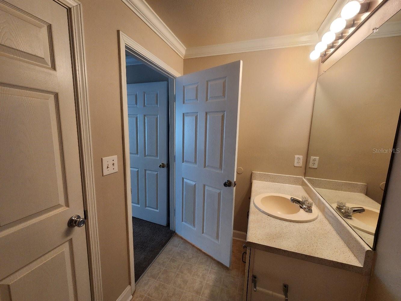 18271 BRIDLE CLUB DR #18271, TAMPA, FL, 33647