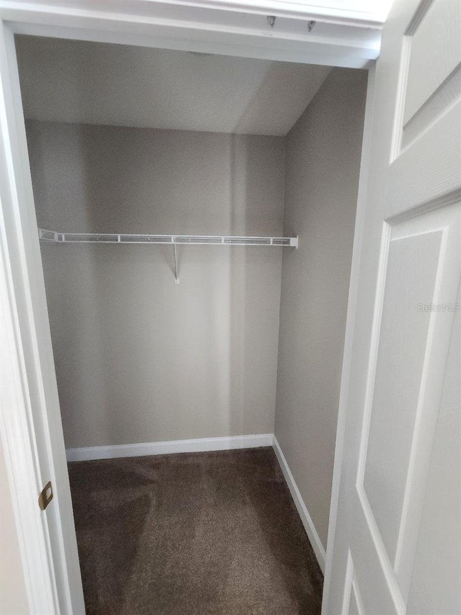 18271 BRIDLE CLUB DR #18271, TAMPA, FL, 33647