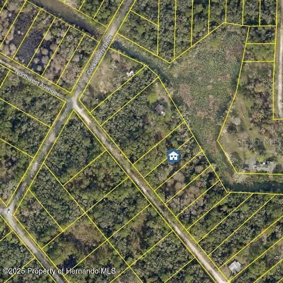 lOT 7 NORTHWEST AVE, WEBSTER, FL, 33597