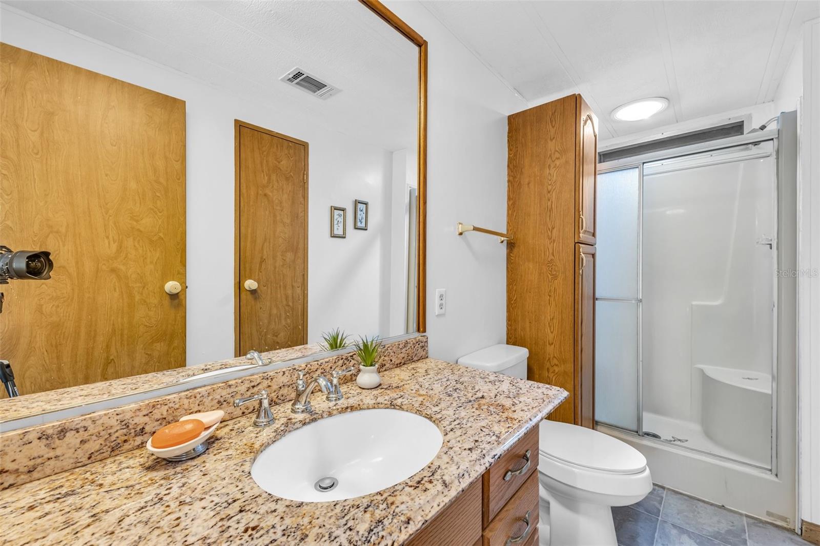 453 TIVOLI PARK DR, DAVENPORT, FL, 33897