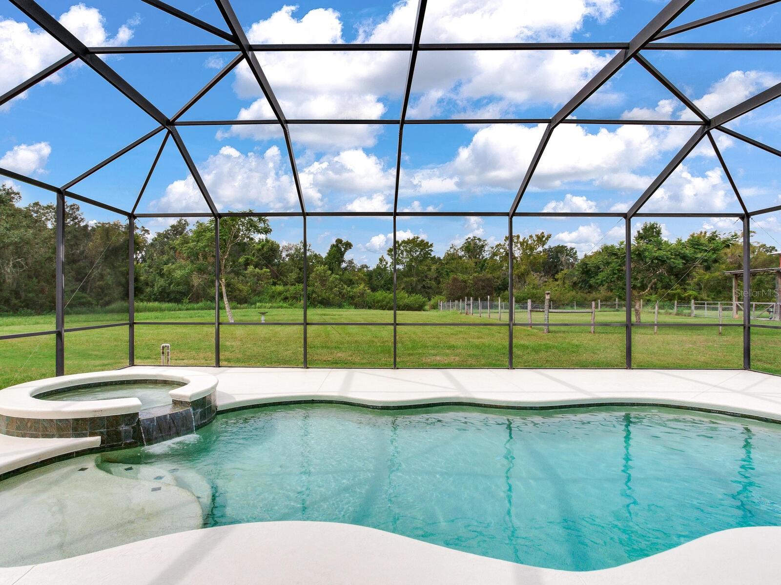 8703 ALAFIA HILLS DR, PLANT CITY, FL, 33567