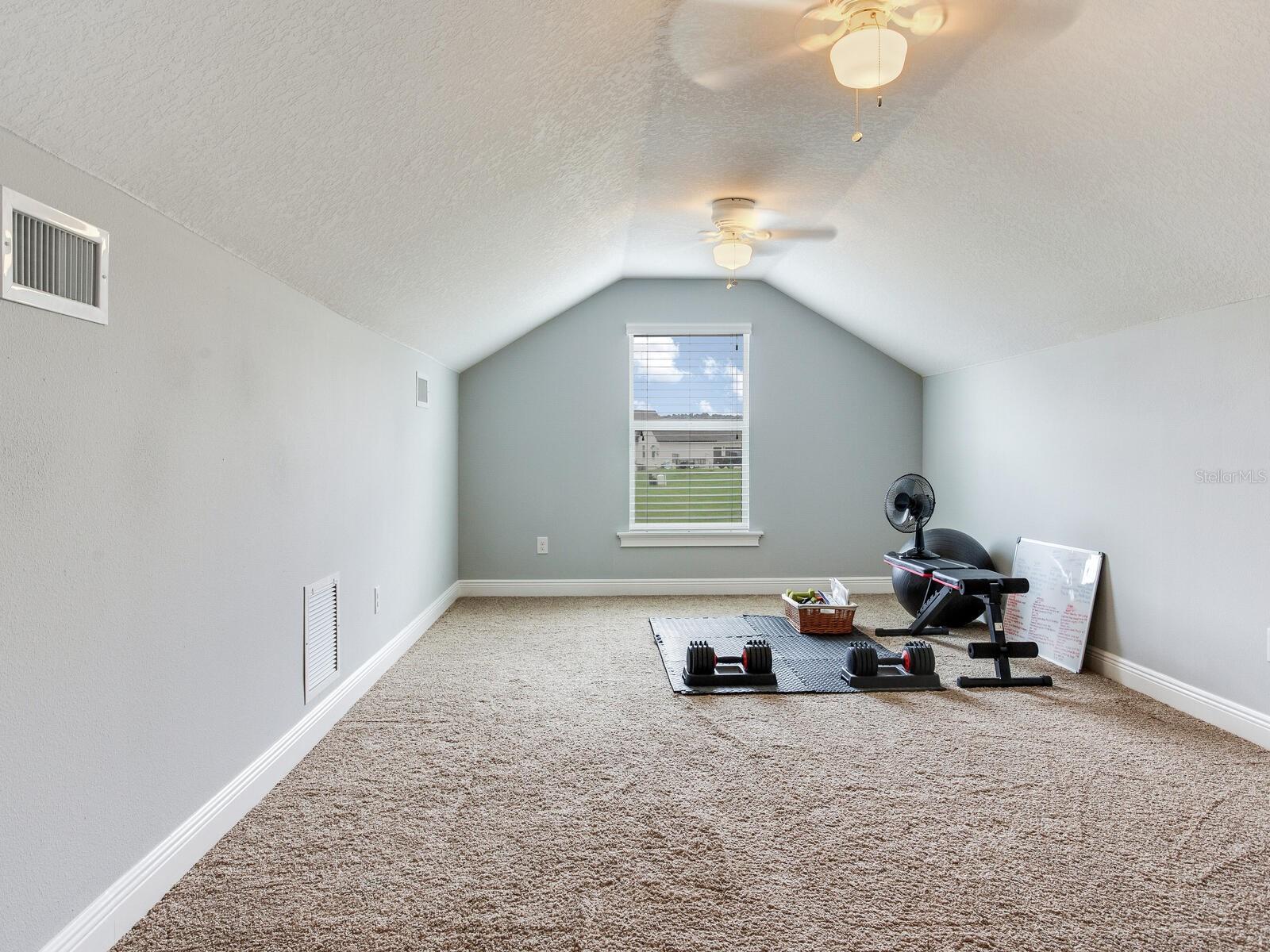 8703 ALAFIA HILLS DR, PLANT CITY, FL, 33567