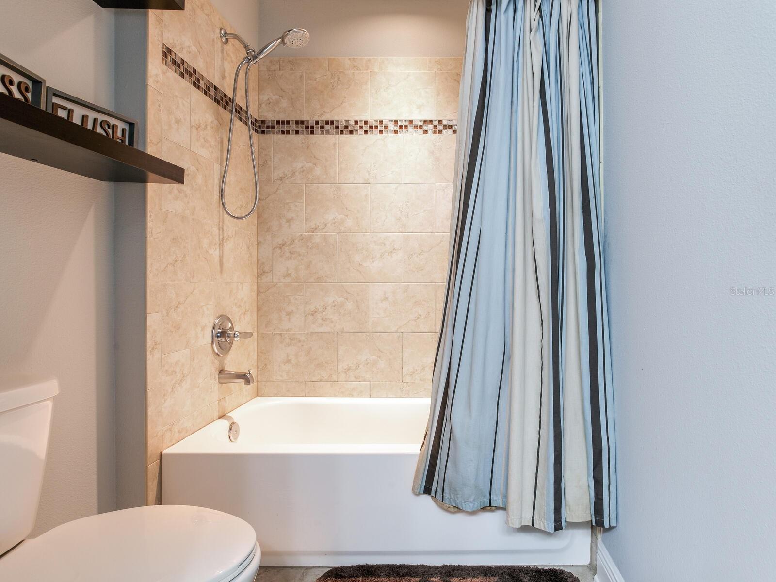 8703 ALAFIA HILLS DR, PLANT CITY, FL, 33567