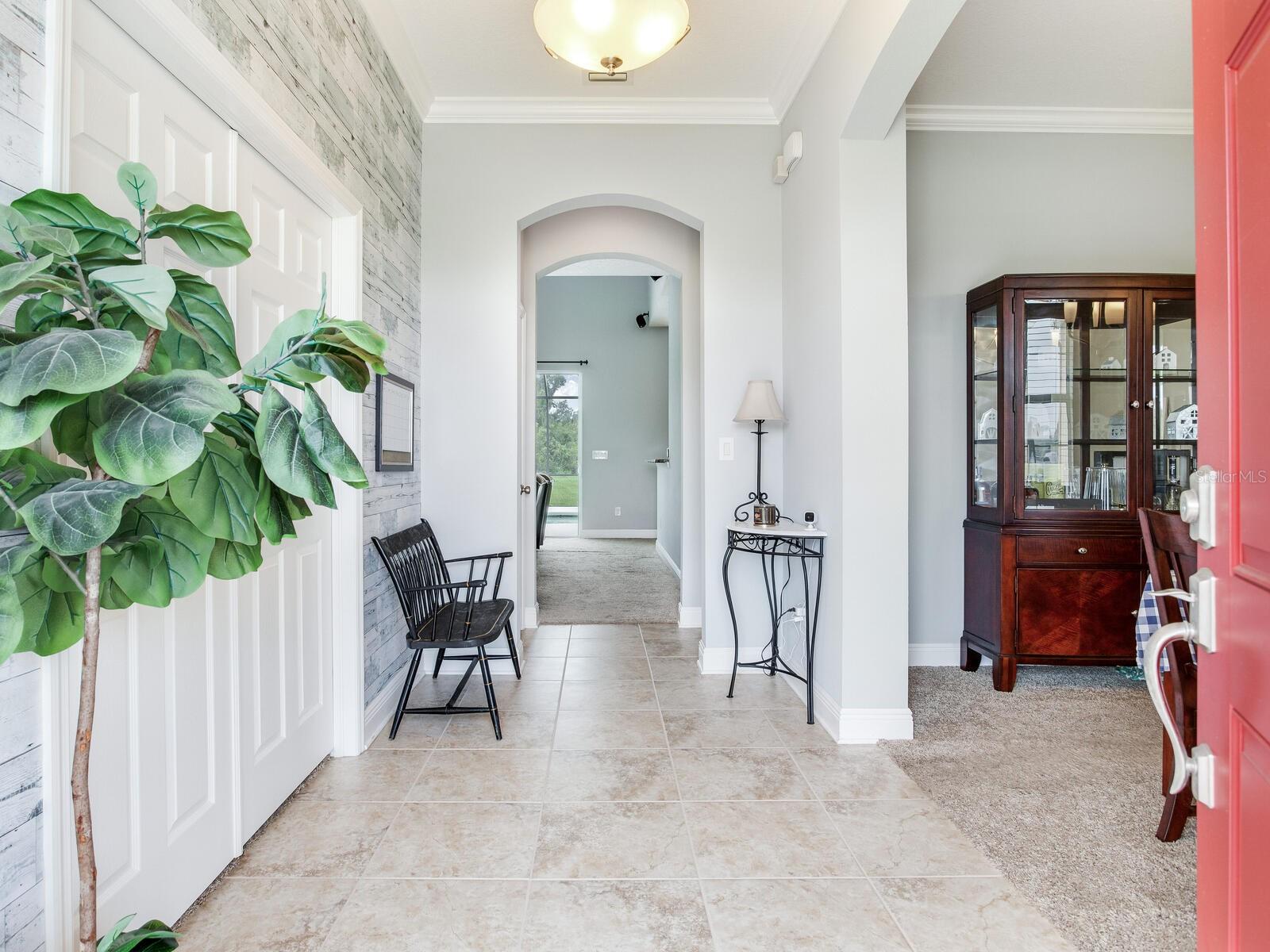 8703 ALAFIA HILLS DR, PLANT CITY, FL, 33567