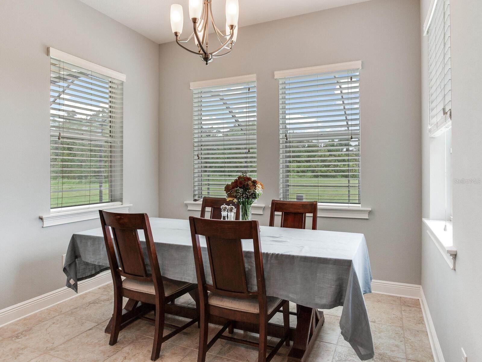 8703 ALAFIA HILLS DR, PLANT CITY, FL, 33567