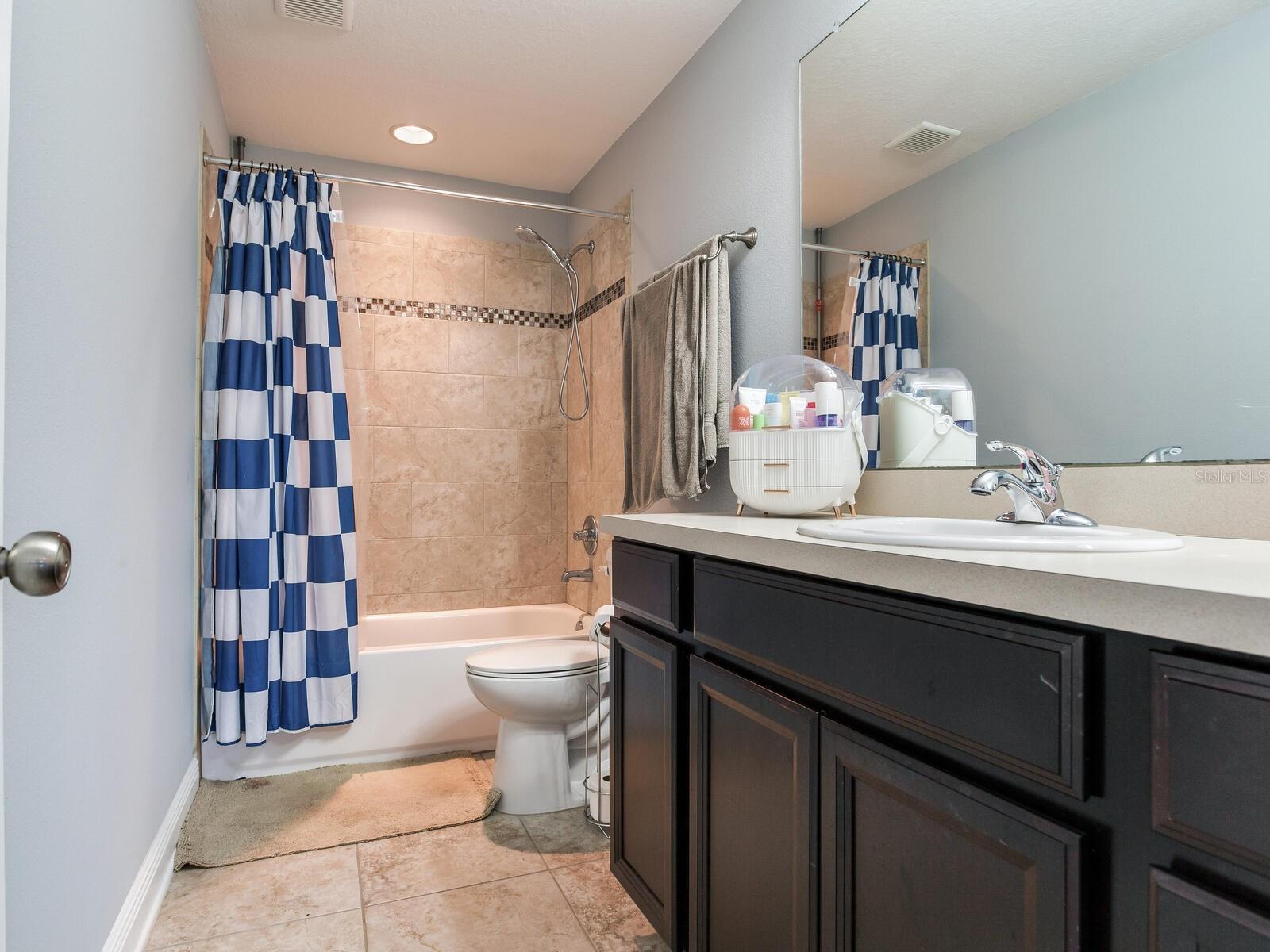 8703 ALAFIA HILLS DR, PLANT CITY, FL, 33567