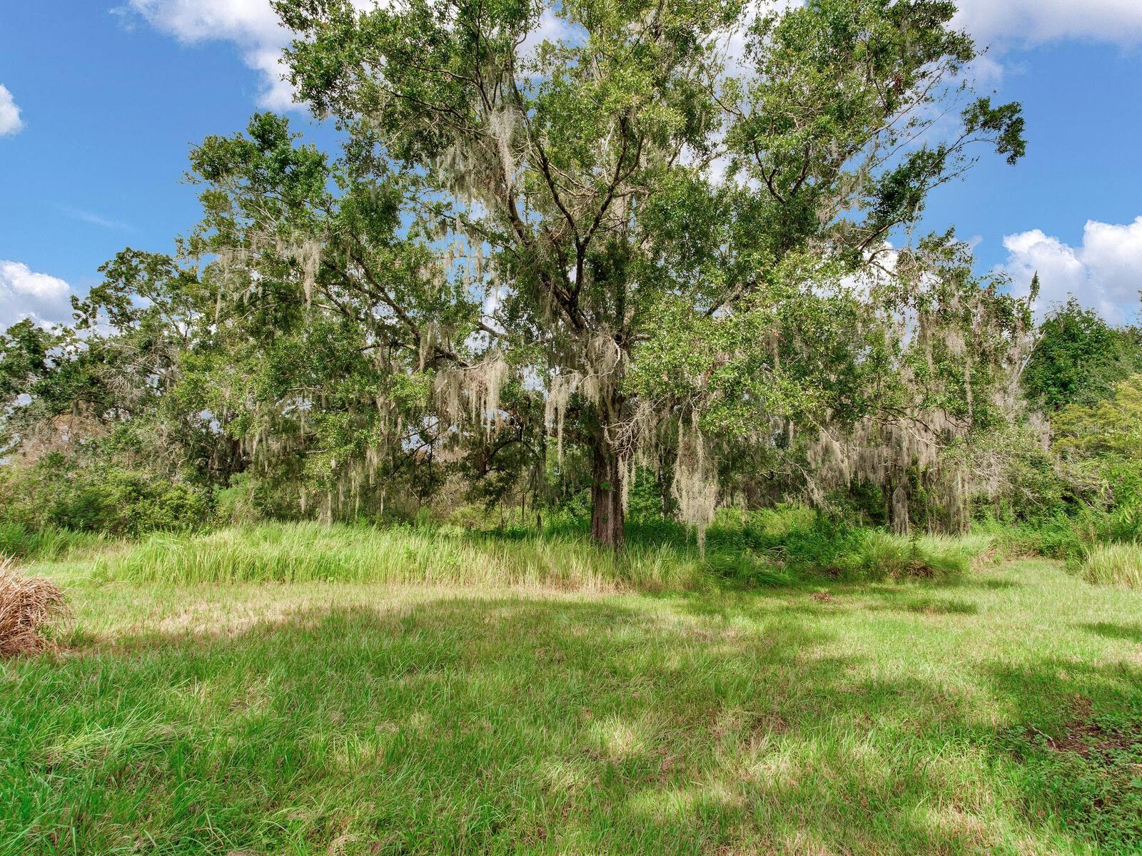 8703 ALAFIA HILLS DR, PLANT CITY, FL, 33567