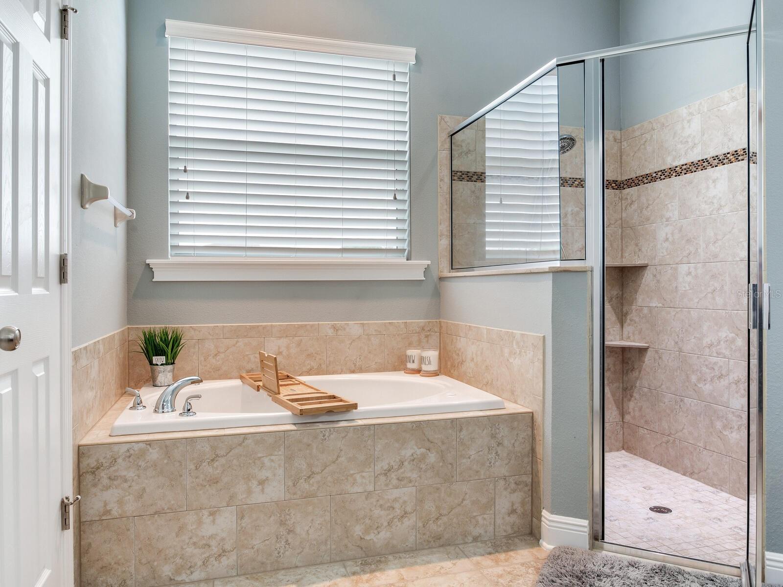 8703 ALAFIA HILLS DR, PLANT CITY, FL, 33567