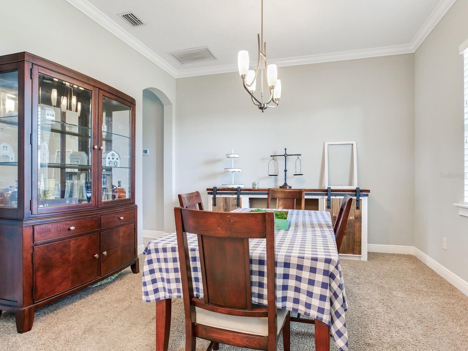 8703 ALAFIA HILLS DR, PLANT CITY, FL, 33567