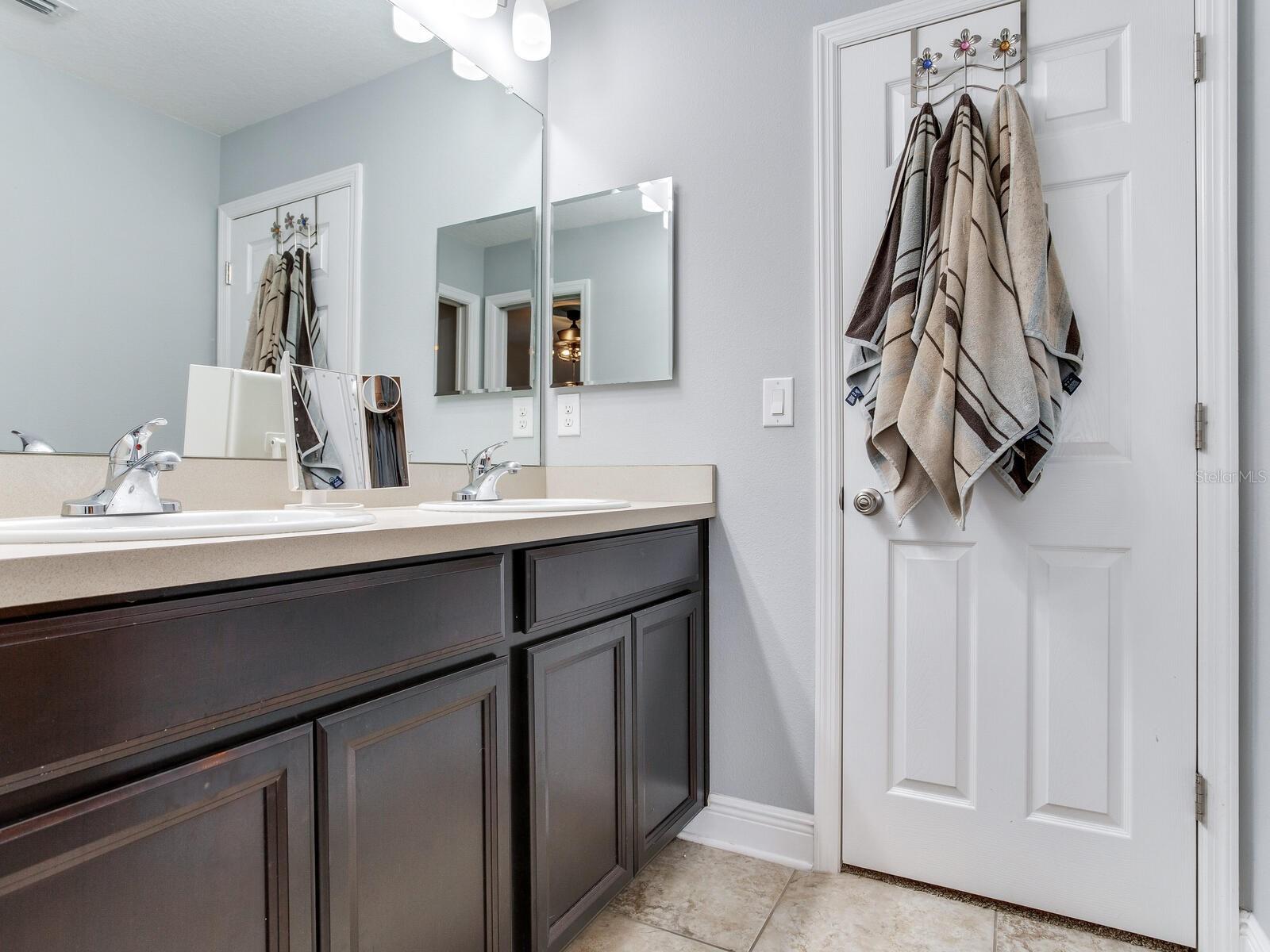 8703 ALAFIA HILLS DR, PLANT CITY, FL, 33567