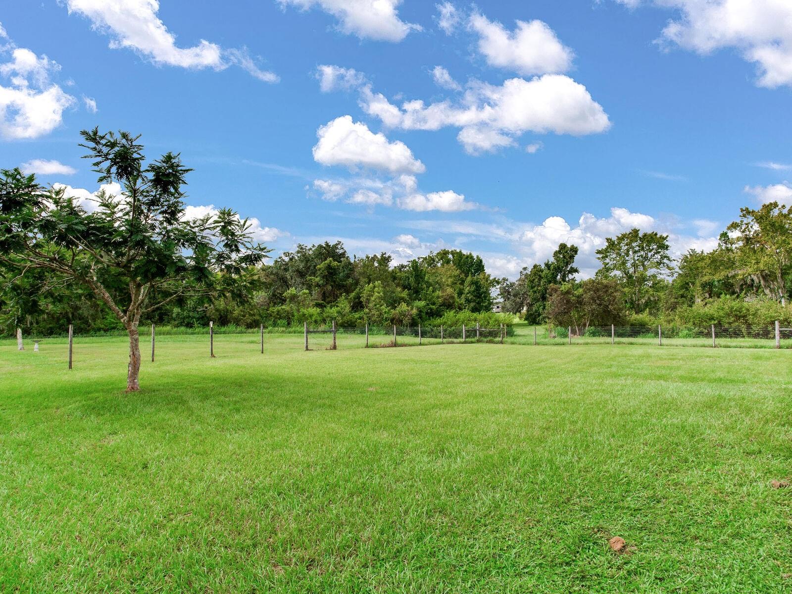 8703 ALAFIA HILLS DR, PLANT CITY, FL, 33567