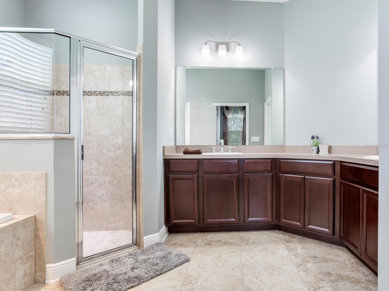 8703 ALAFIA HILLS DR, PLANT CITY, FL, 33567