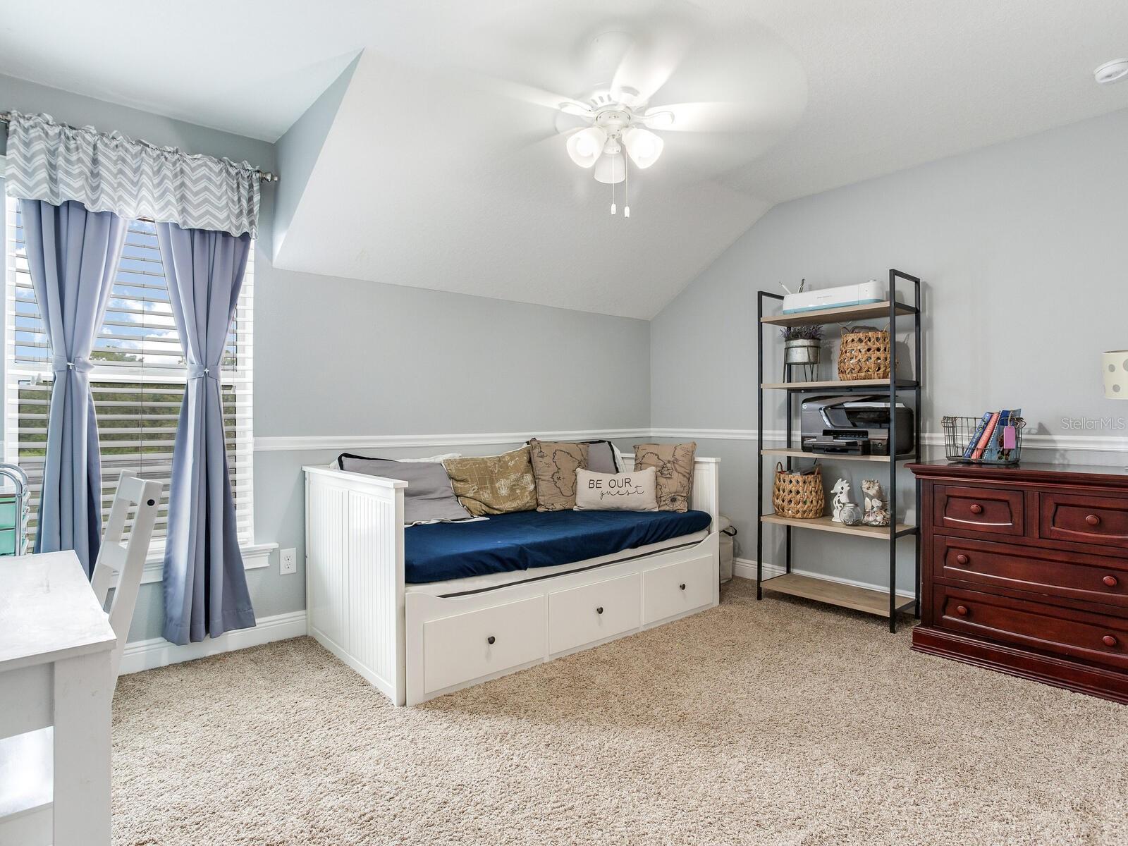 8703 ALAFIA HILLS DR, PLANT CITY, FL, 33567