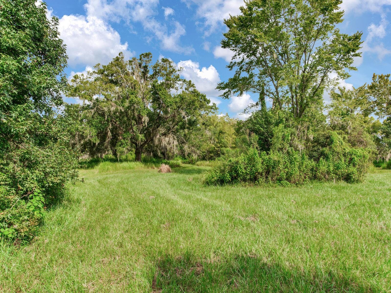 8703 ALAFIA HILLS DR, PLANT CITY, FL, 33567