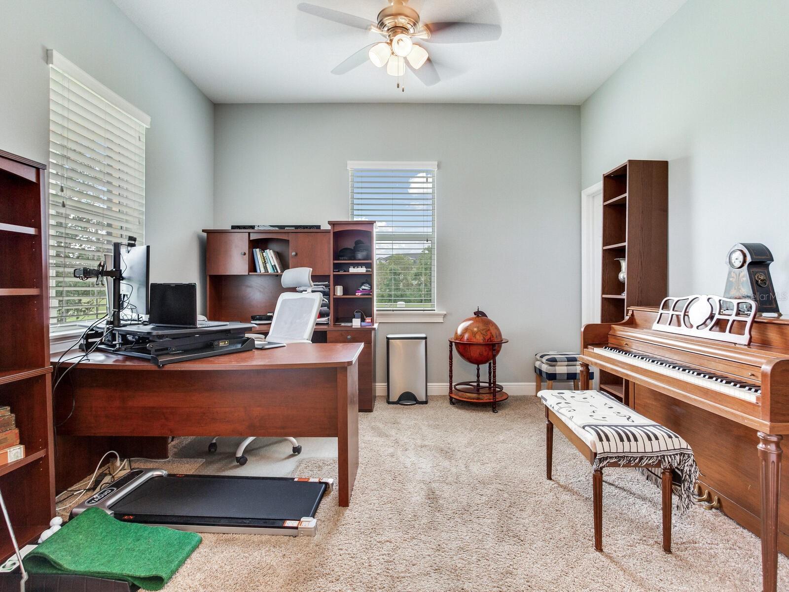 8703 ALAFIA HILLS DR, PLANT CITY, FL, 33567