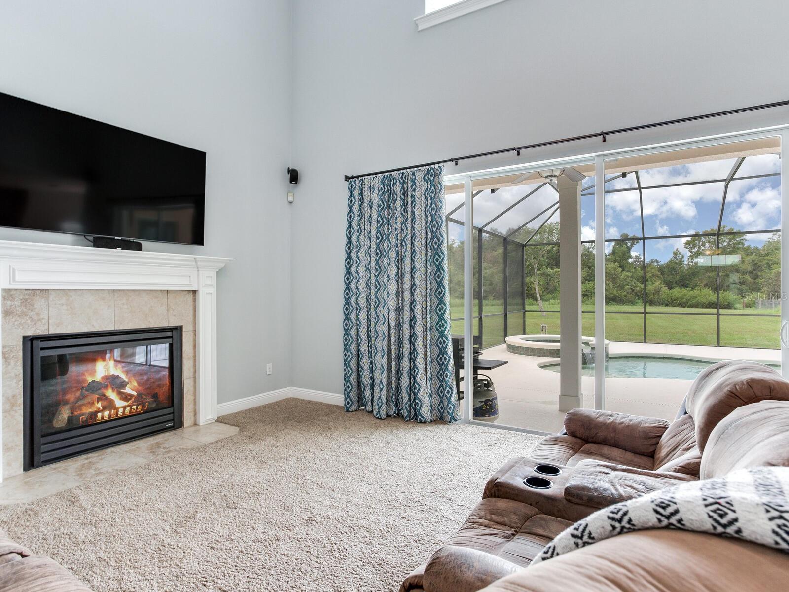 8703 ALAFIA HILLS DR, PLANT CITY, FL, 33567