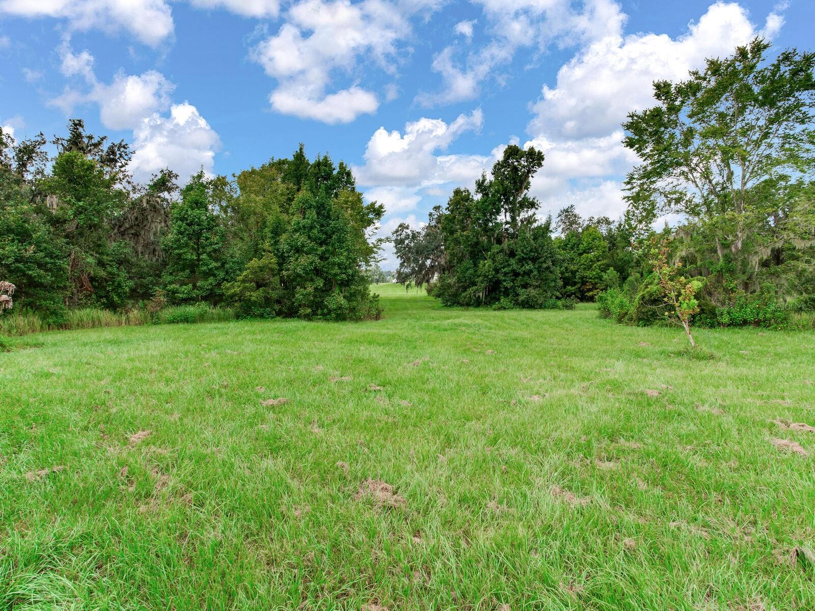 8703 ALAFIA HILLS DR, PLANT CITY, FL, 33567