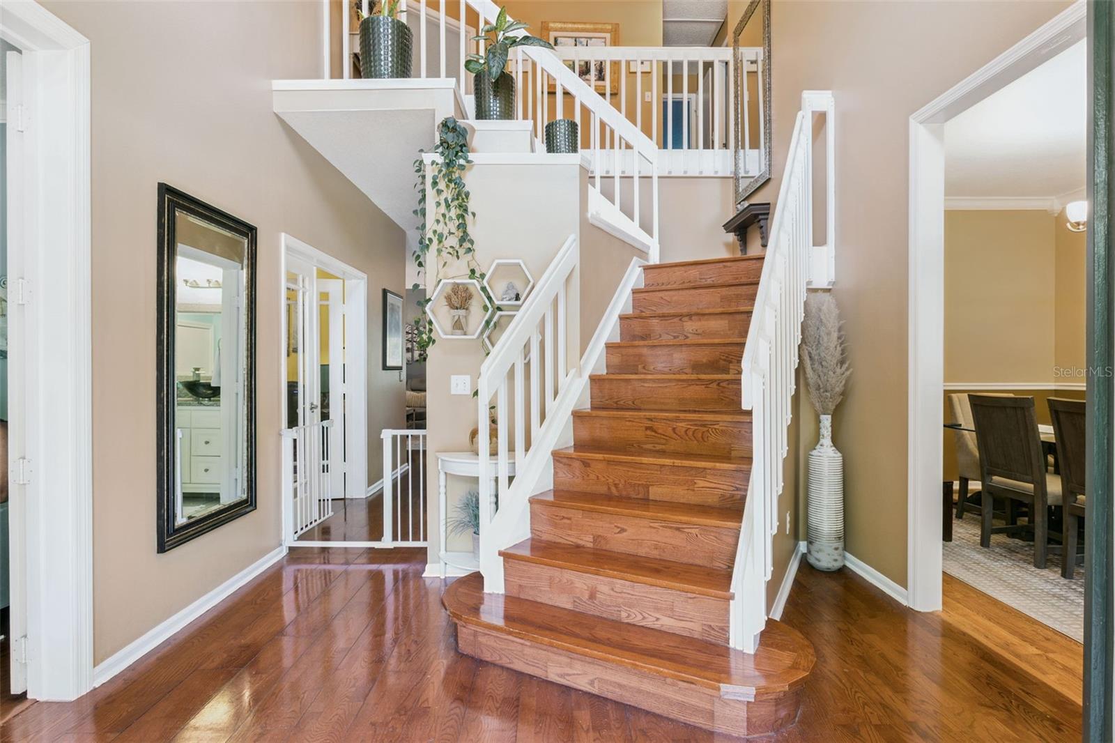 924 SOUTHERN OAK LN, APOPKA, FL, 32712