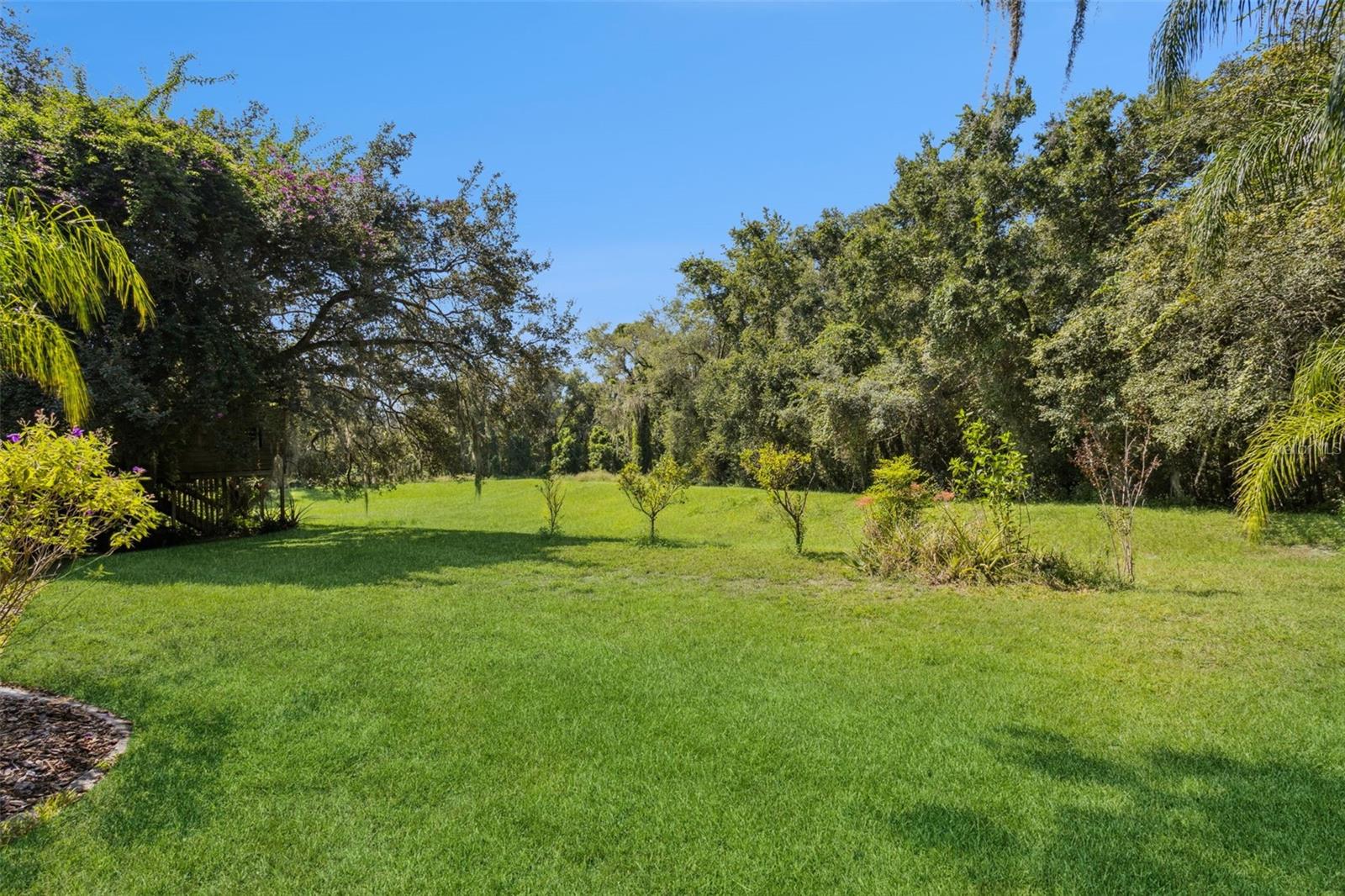 924 SOUTHERN OAK LN, APOPKA, FL, 32712