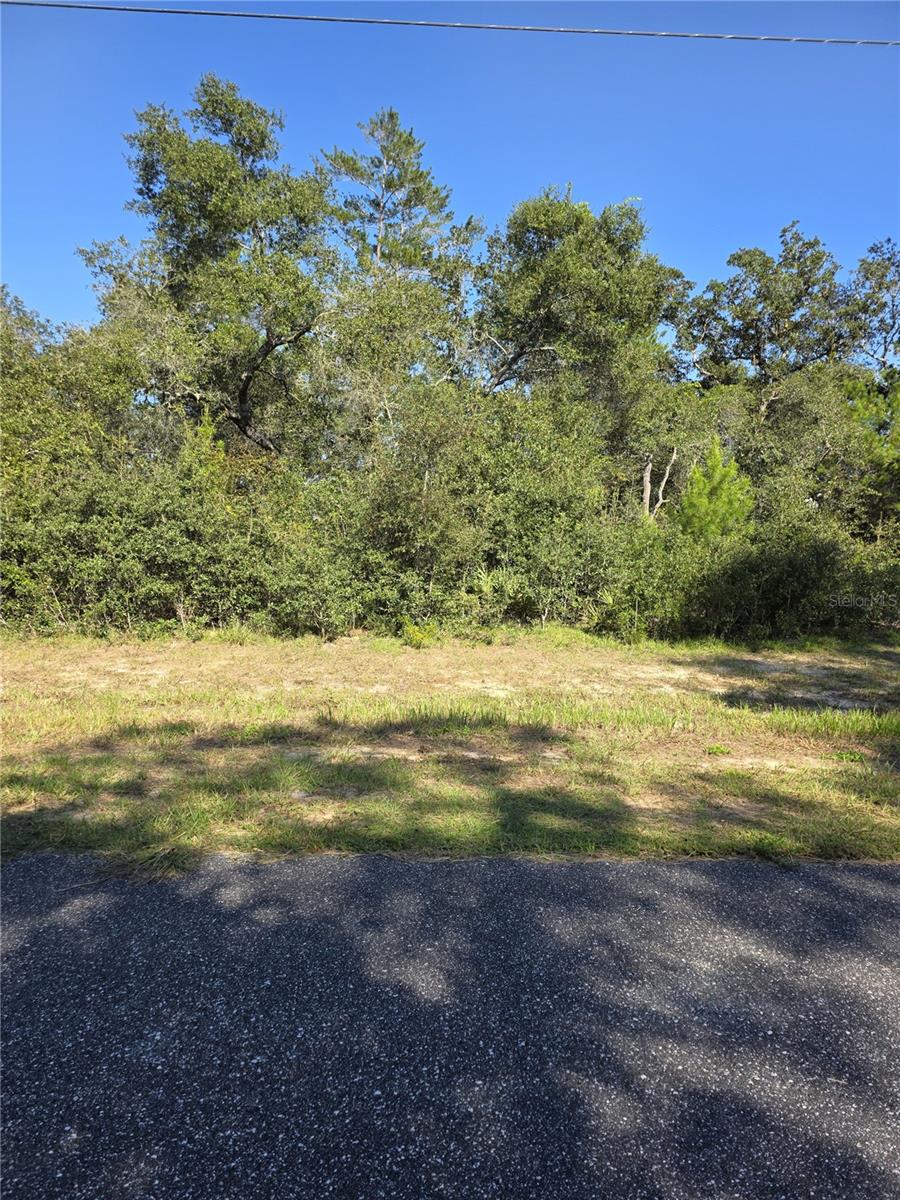 0 SW 21 LN, OCALA, FL, 34473