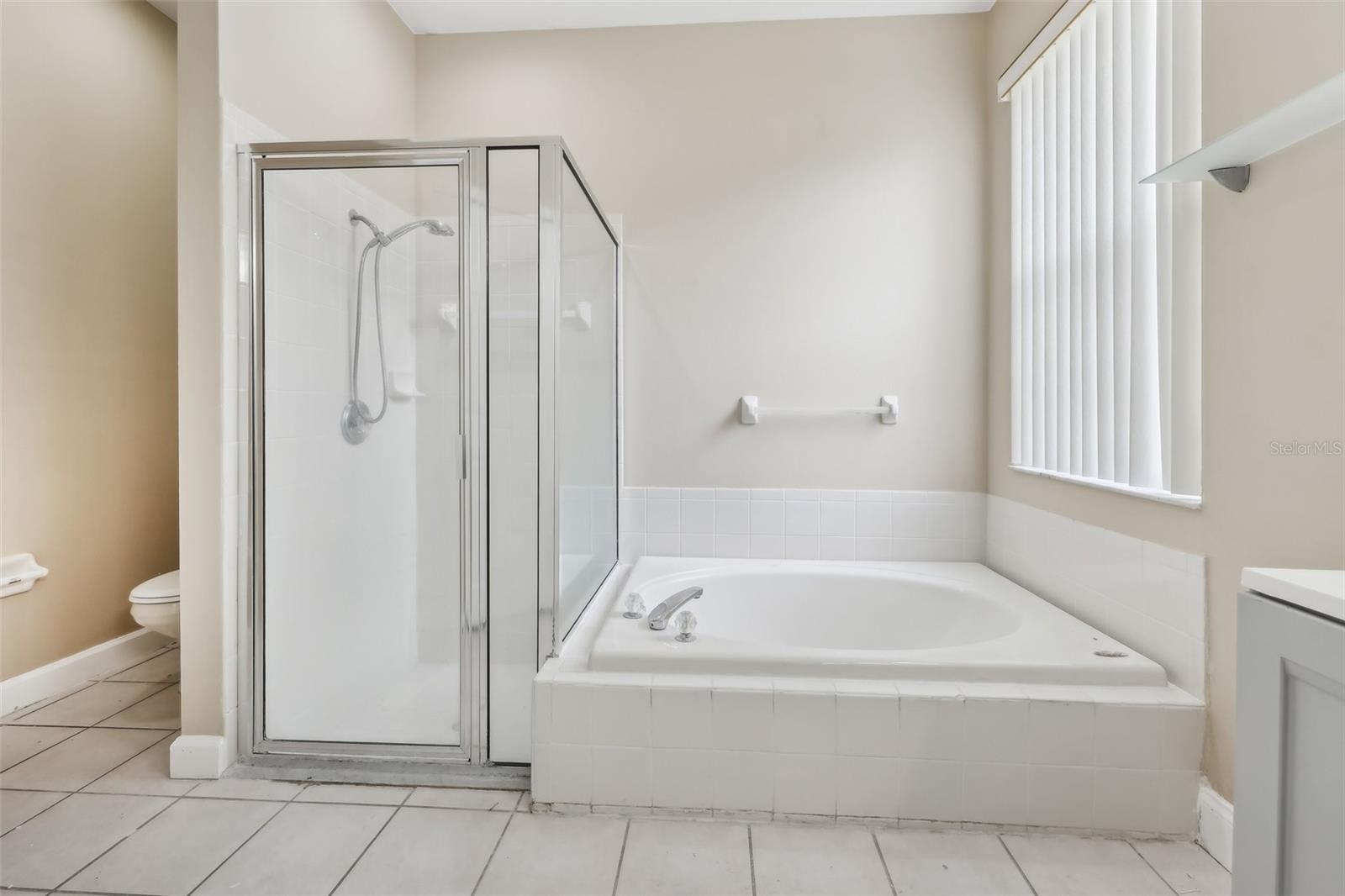 18101 MISTY BLUE LN, TAMPA, FL, 33647