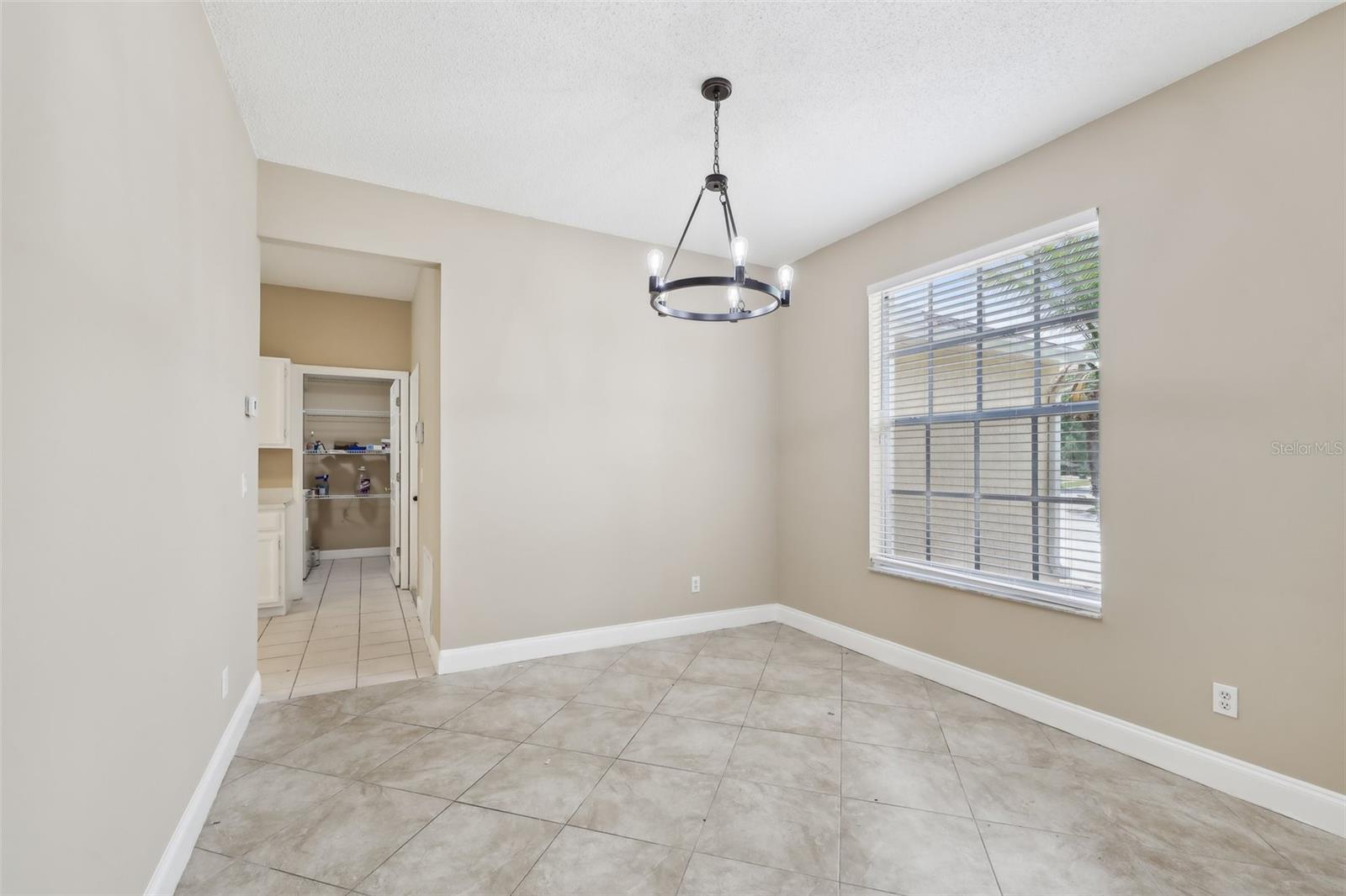 18101 MISTY BLUE LN, TAMPA, FL, 33647