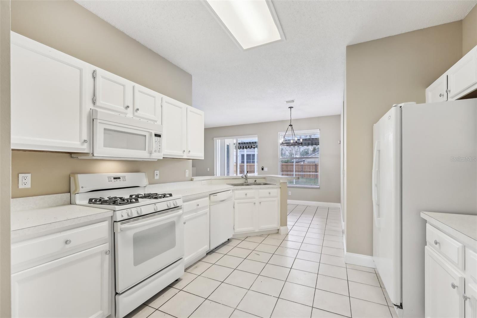 18101 MISTY BLUE LN, TAMPA, FL, 33647