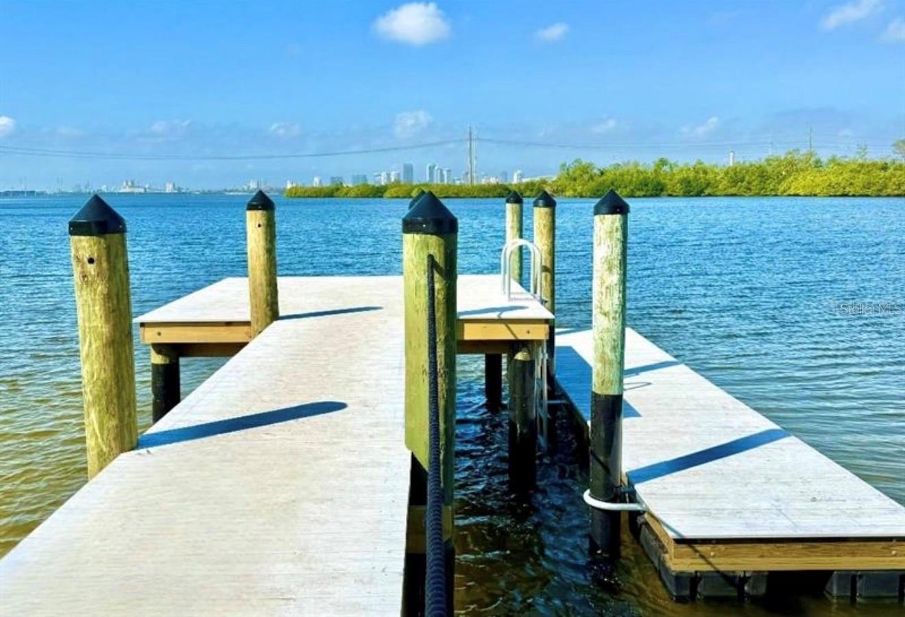 854 TENNYSON MILL CIR, TAMPA, FL, 33619