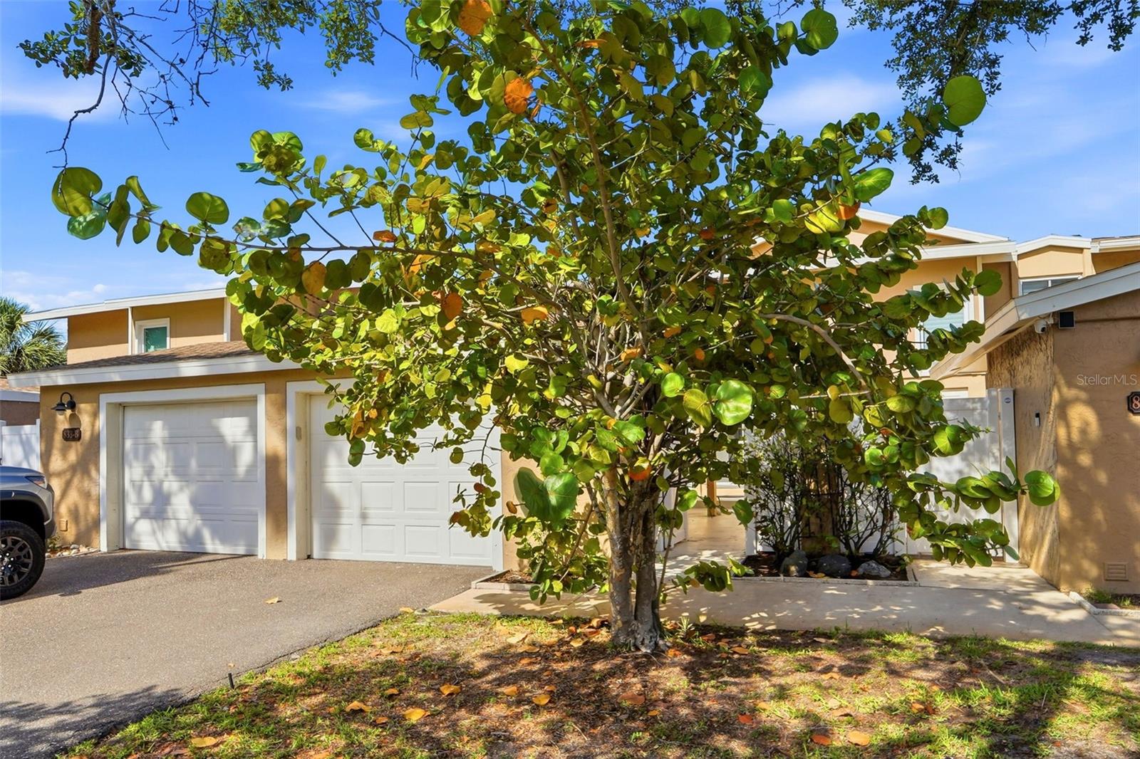 833 E GULF BLVD #103, INDIAN ROCKS BEACH, FL, 33785