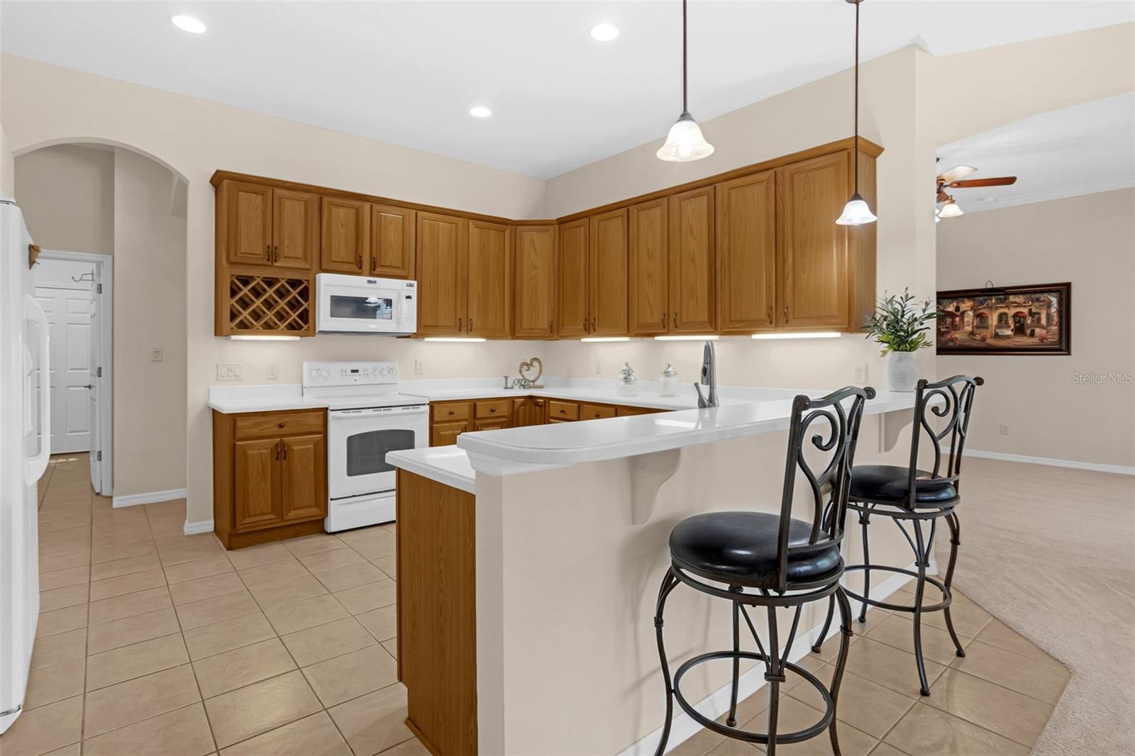 3728 MULBERRY GROVE LOOP, LEESBURG, FL, 34748