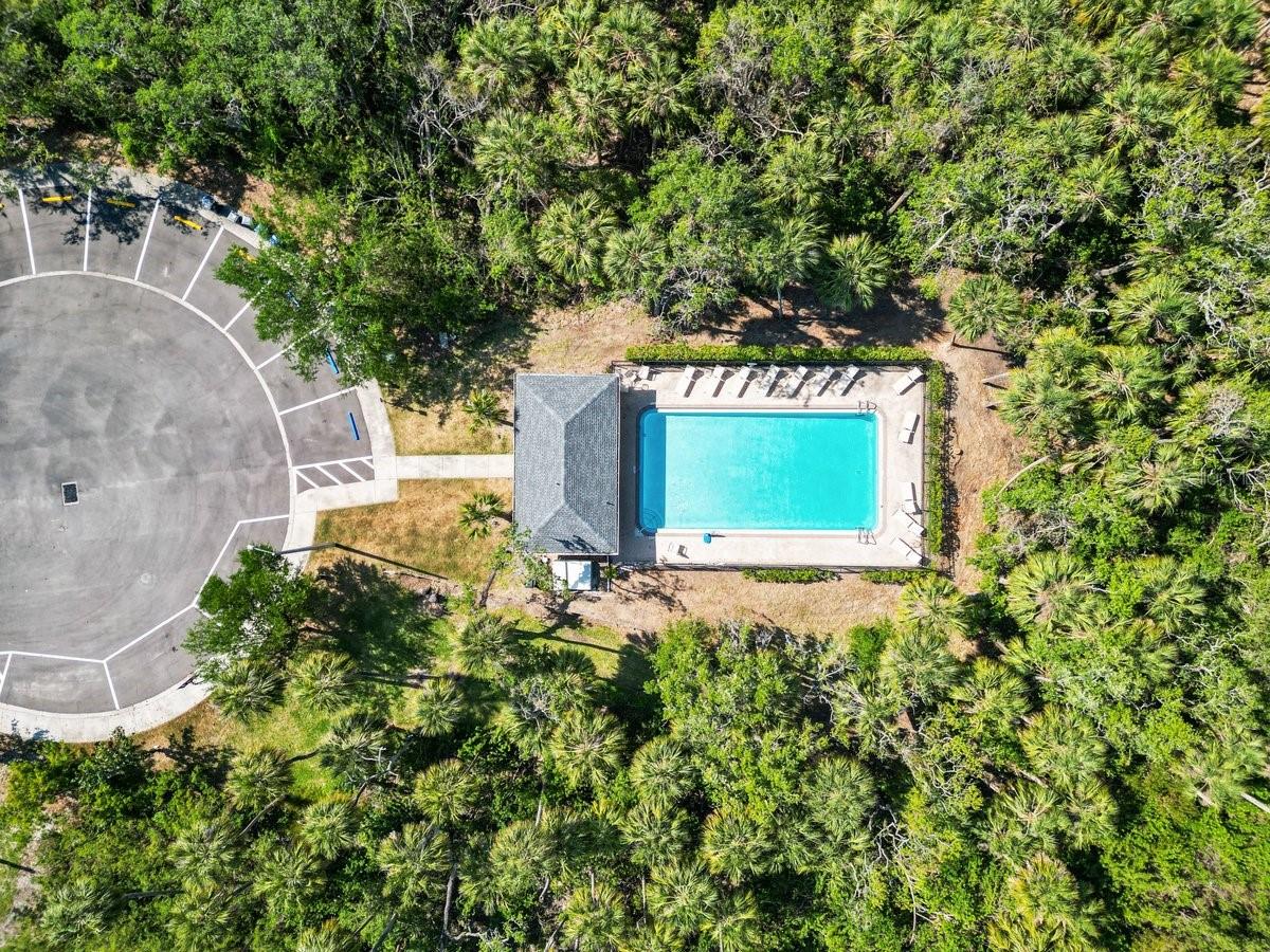 616 WHEATON TRENT PL, TAMPA, FL, 33619