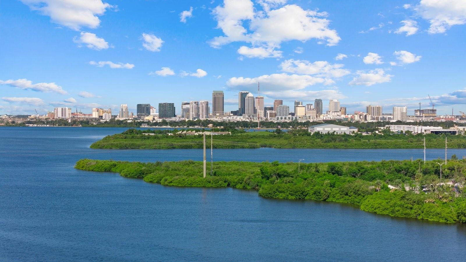 616 WHEATON TRENT PL, TAMPA, FL, 33619