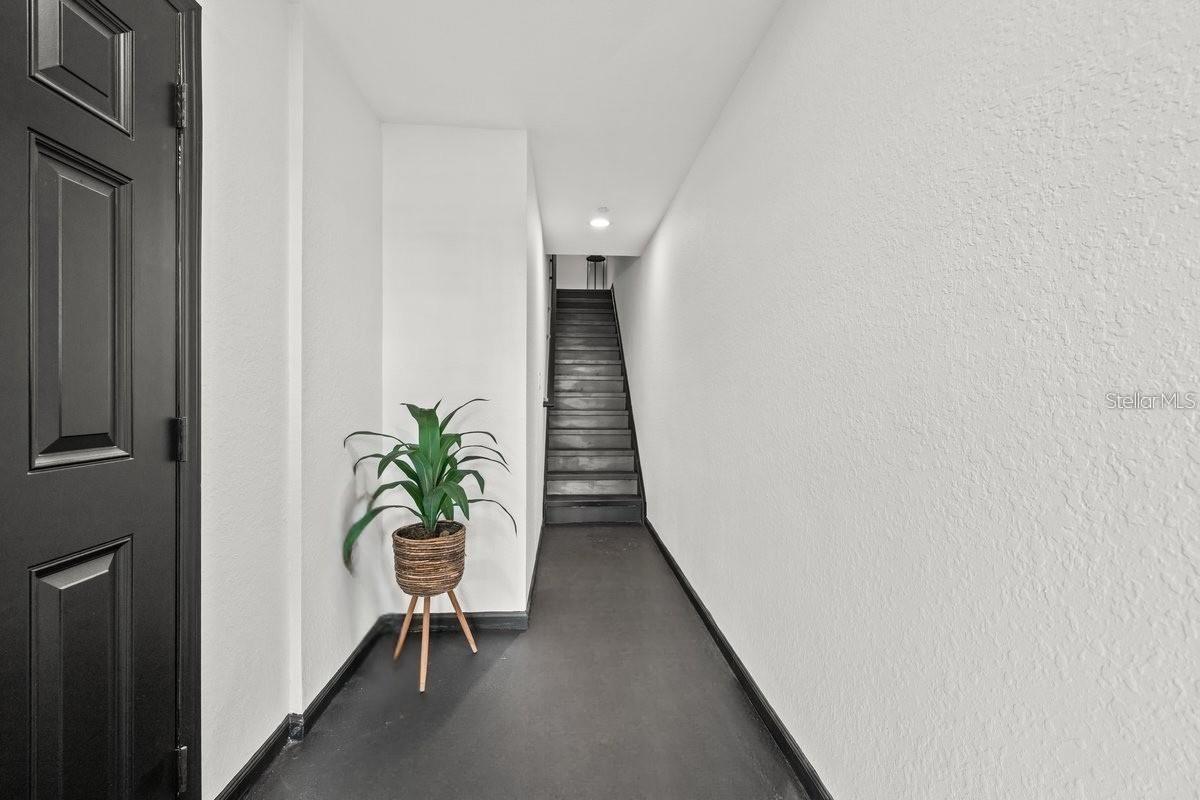 616 WHEATON TRENT PL, TAMPA, FL, 33619