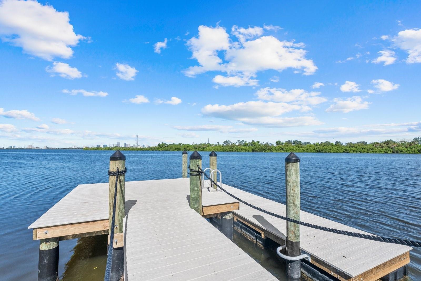 616 WHEATON TRENT PL, TAMPA, FL, 33619